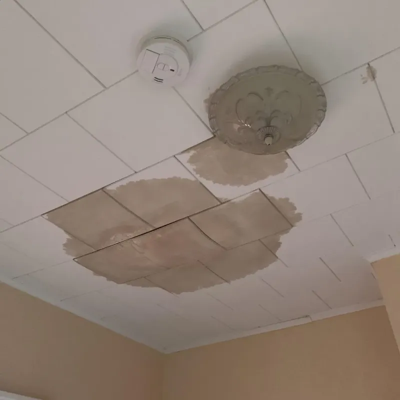 Ceiling Water Damage Repair in Sallisaw, OK