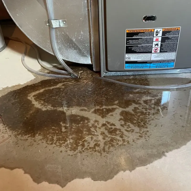 Pipe Burst and Leak Restoration in Sallisaw, OK